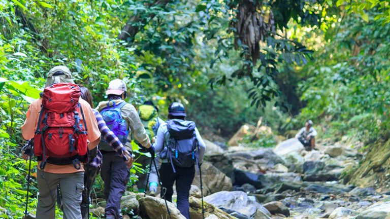 4 เรื่องน่ารู้ก่อนที่จะ “เดินป่า” ในช่วงหน้าฝนให้สนุกและปลอดภัยตลอดทริป